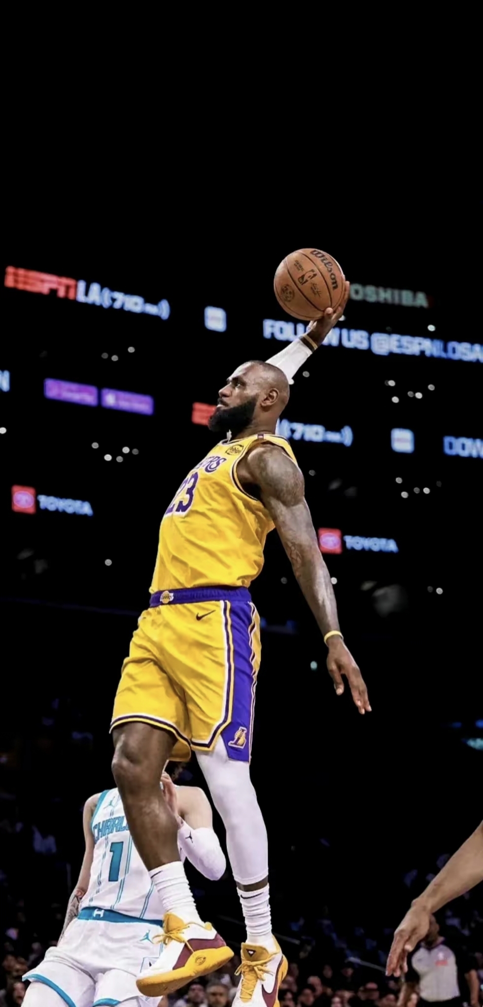 风险极高 风险极高